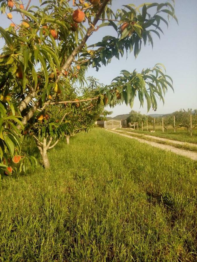 Апартаменты Residenza Agrituristica Santa Lucia Con Piscina Альгеро Экстерьер фото